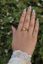 Load image into Gallery viewer, Golden Melody