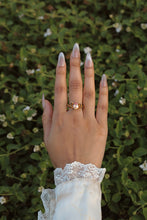 Load image into Gallery viewer, Golden Melody