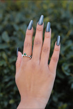 Load image into Gallery viewer, Freedom