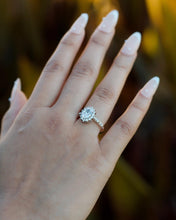 Load image into Gallery viewer, Lover