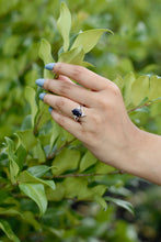 Load image into Gallery viewer, Stardust (Restocked)