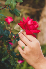 Load image into Gallery viewer, Evergreen Willow