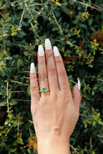 Load image into Gallery viewer, Evergreen Willow