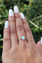 Load image into Gallery viewer, Touch of Frost