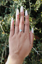 Load image into Gallery viewer, Touch of Frost